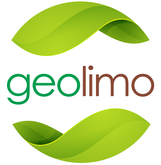 Referenz MMC: Geolimo Limousine Service (Logo, Website, SEO, Social-Media)