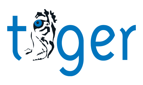 Referenz MMC: Tiger GmbH (Logo, Internetseite, SEO, Coaching)