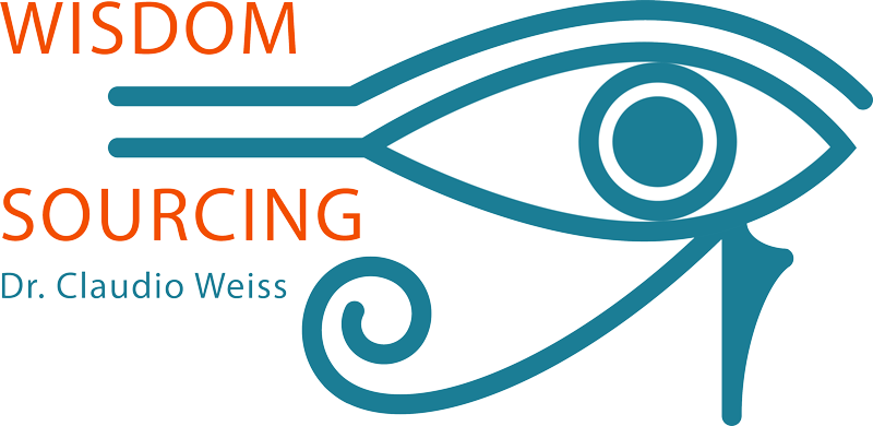 MMC Reference: WisdomSourcing (Logo, Idee, Webseite, SEO, Planung, Durchführung)